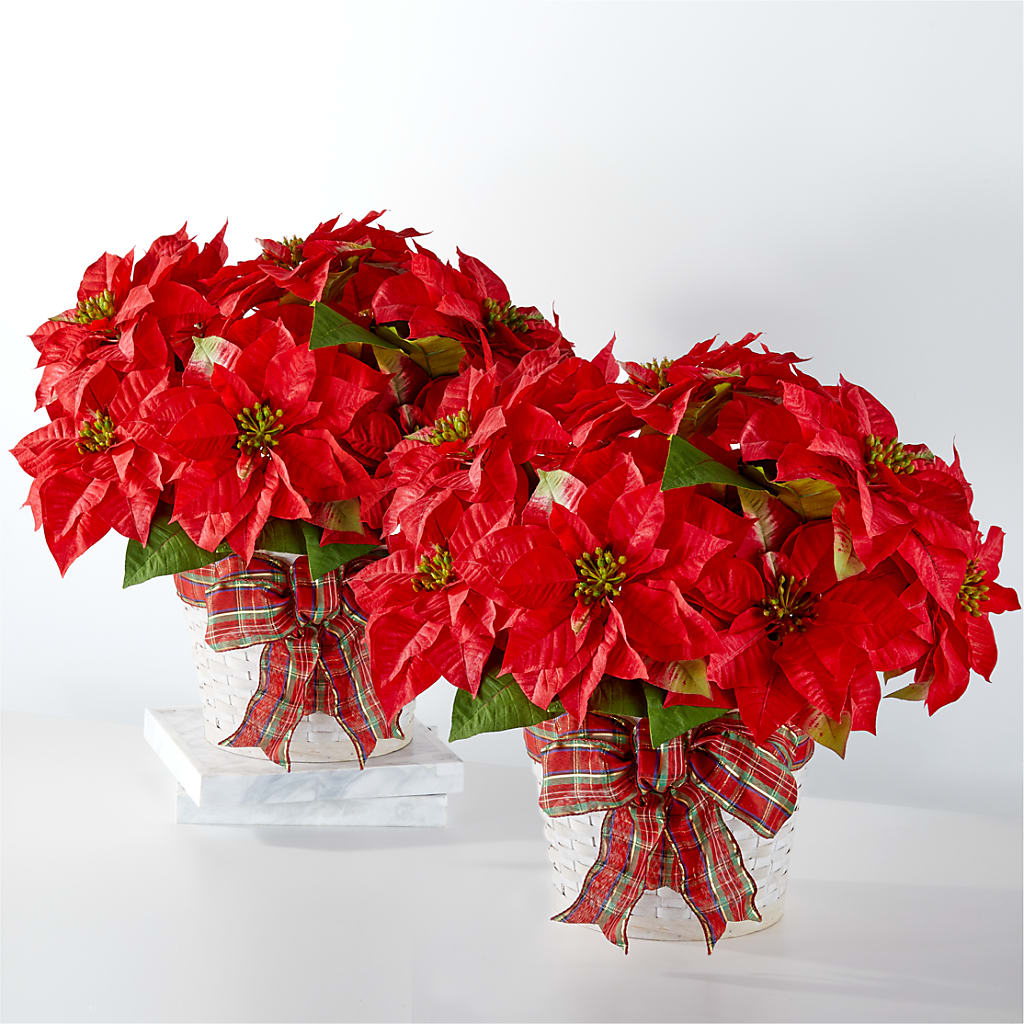 Happiest Holidays Poinsettia Bundle – VICKIE'S FLOWERS, Cypress CA
