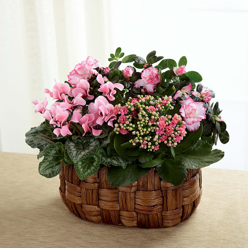 Pink Assortment – VICKIE'S FLOWERS, Cypress CA