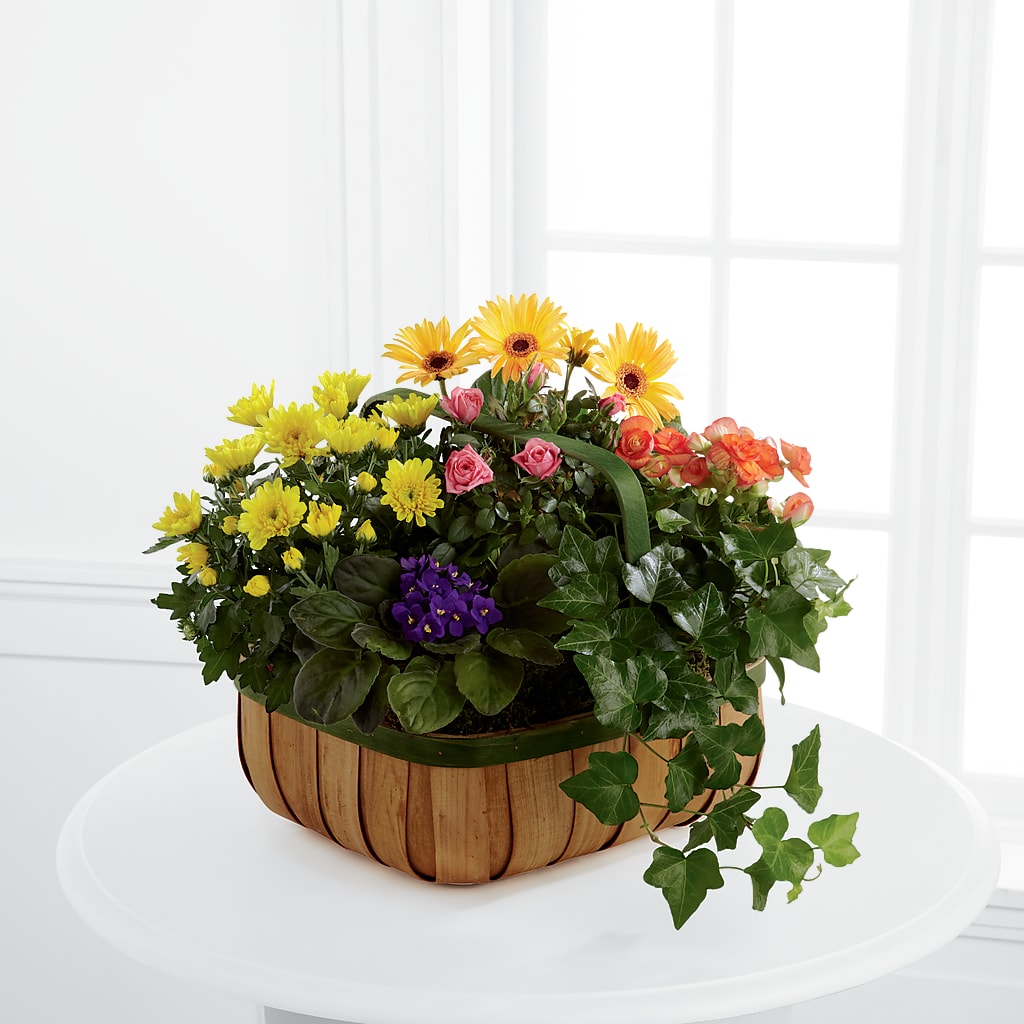 Gentle Blossoms Basket – VICKIE'S FLOWERS, Cypress CA