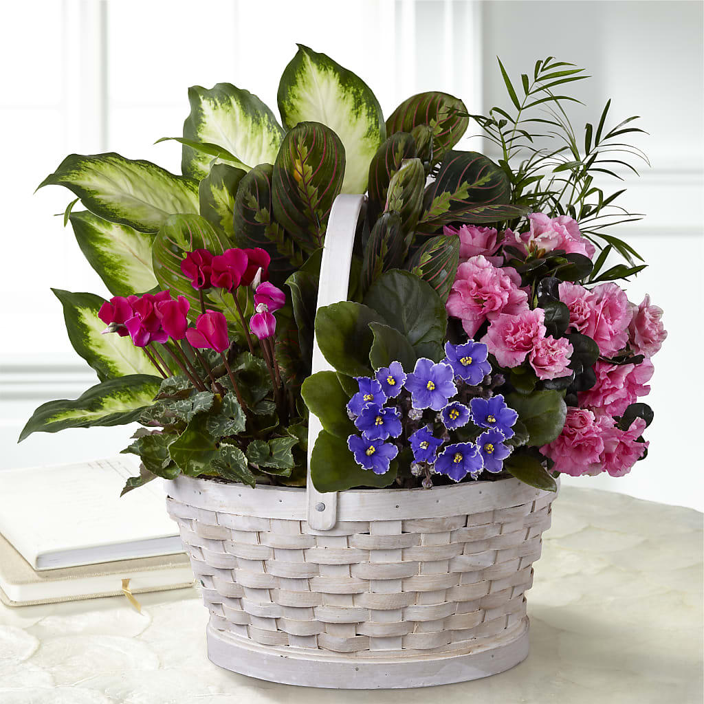 Peaceful Garden Planter – VICKIE'S FLOWERS, Cypress CA