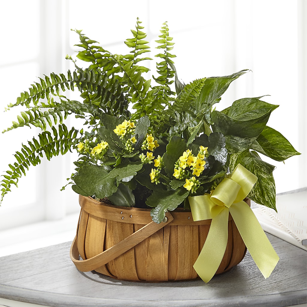 Always Dear Dishgarden – VICKIE'S FLOWERS, Cypress CA