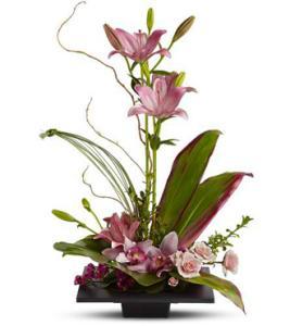 Imagination Blooms – VICKIE'S FLOWERS, Cypress CA