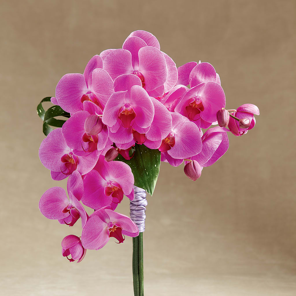 Glorious Bouquet – VICKIE'S FLOWERS, Cypress CA