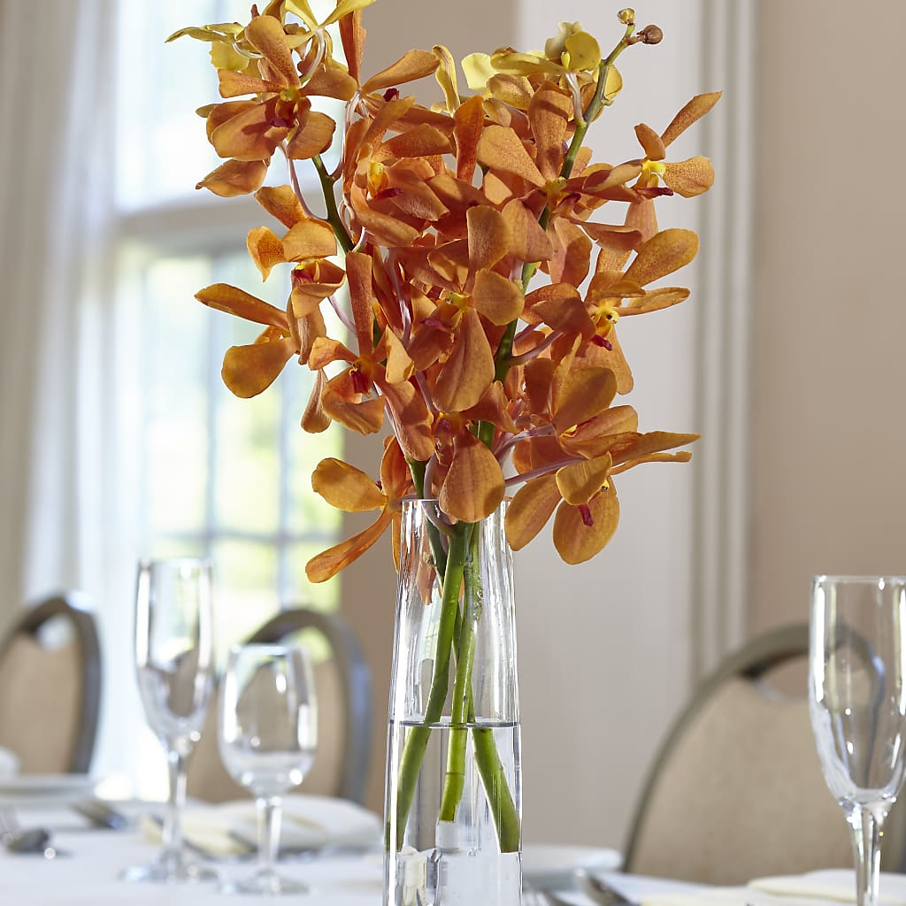 Orange Mokara Bud Vase – VICKIE'S FLOWERS, Cypress CA