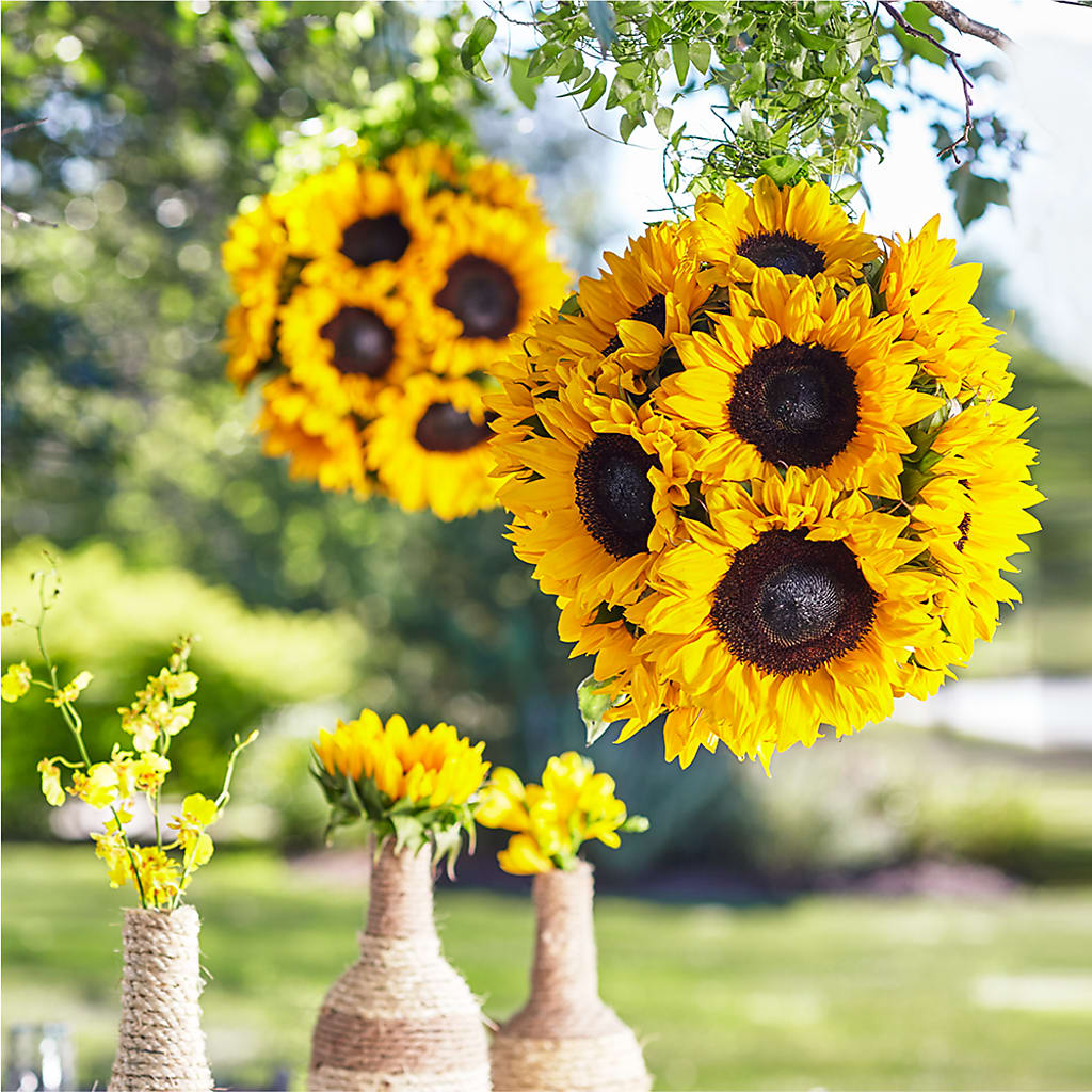 Sublime Garden Hanging Arrangement – VICKIE'S FLOWERS, Cypress CA