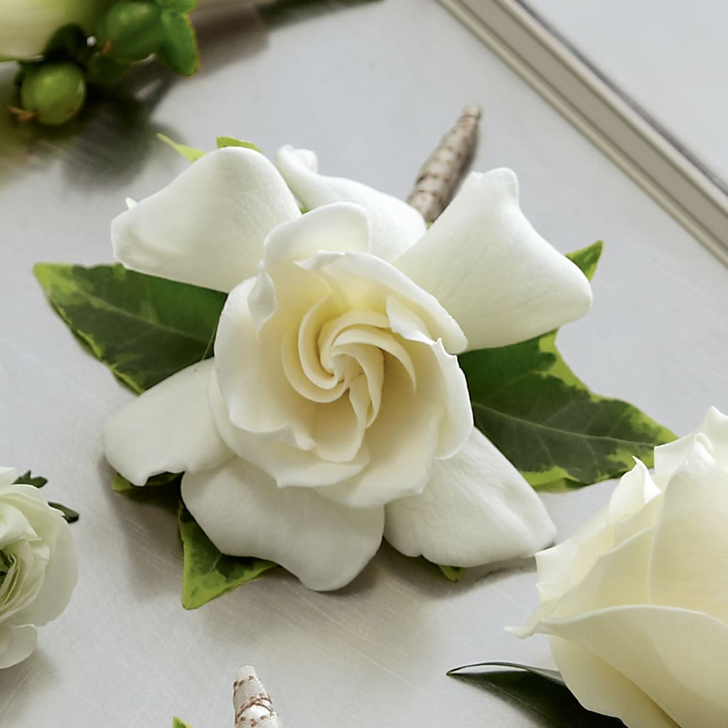 Gardenia Boutonniere – VICKIE'S FLOWERS, Cypress CA
