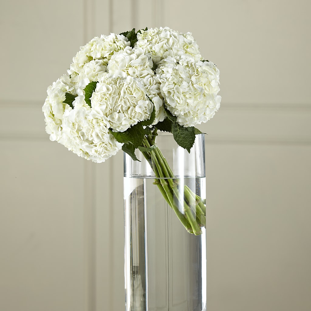 White Hydrangea Hand-Tied Bouquet – VICKIE'S FLOWERS, Cypress CA