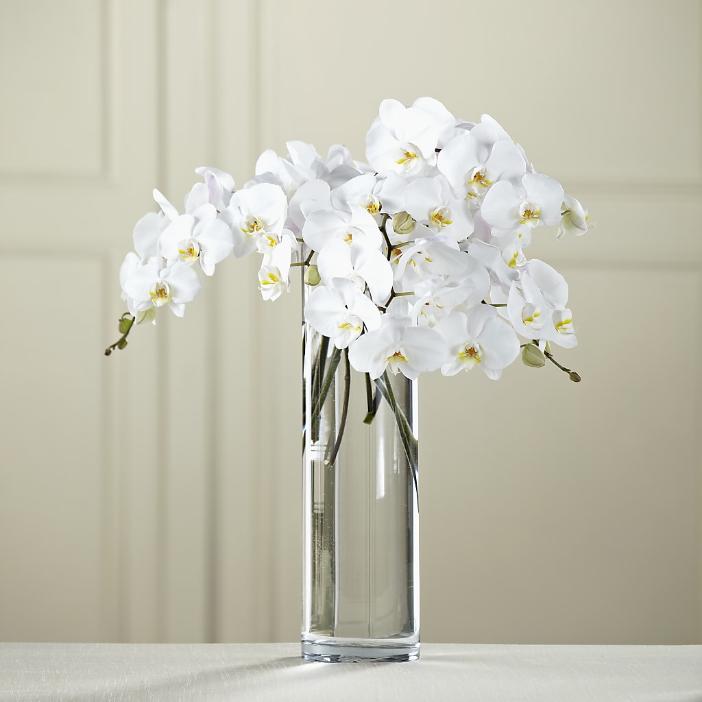 White Phalaenopsis Bouquet – VICKIE'S FLOWERS, Cypress CA
