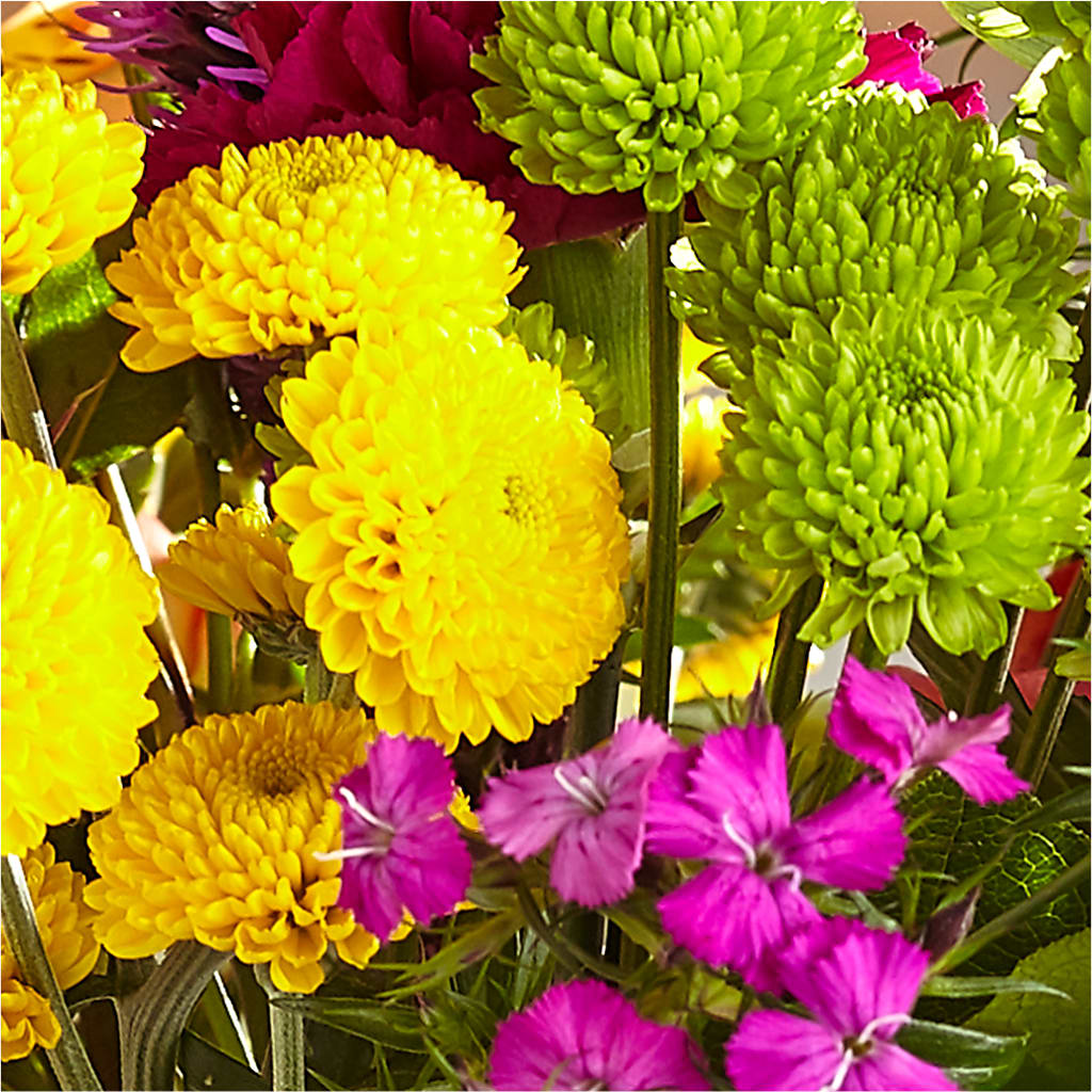 Bold & Bright – A Florist Original – VICKIE'S FLOWERS, Cypress CA