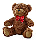 Adorable Plush Bear – VICKIE'S FLOWERS, Cypress CA