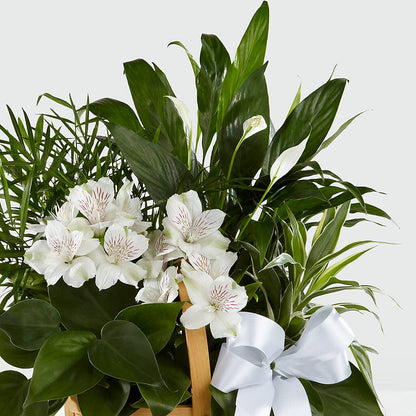 Peace & Serenity Dishgarden – VICKIE'S FLOWERS, Cypress CA