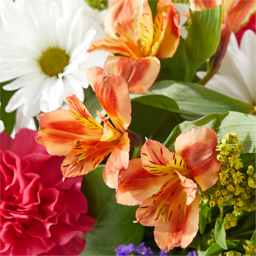 Oopsie Daisy Box Bouquet – VICKIE'S FLOWERS, Cypress CA