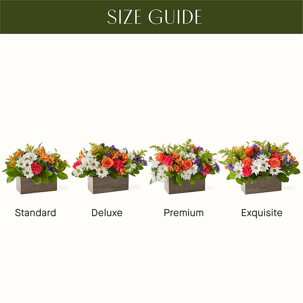 Oopsie Daisy Box Bouquet – VICKIE'S FLOWERS, Cypress CA