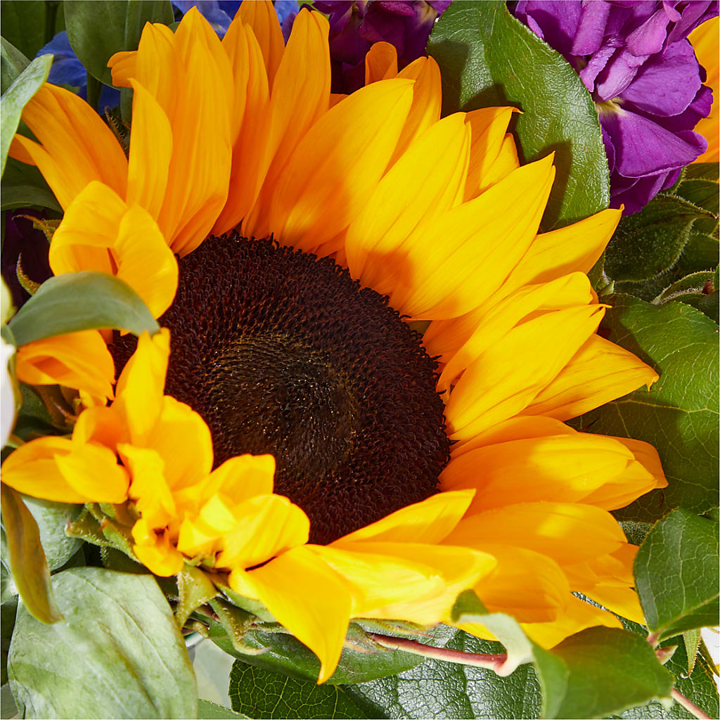 Catching Rays Bouquet – VICKIE'S FLOWERS, Cypress CA