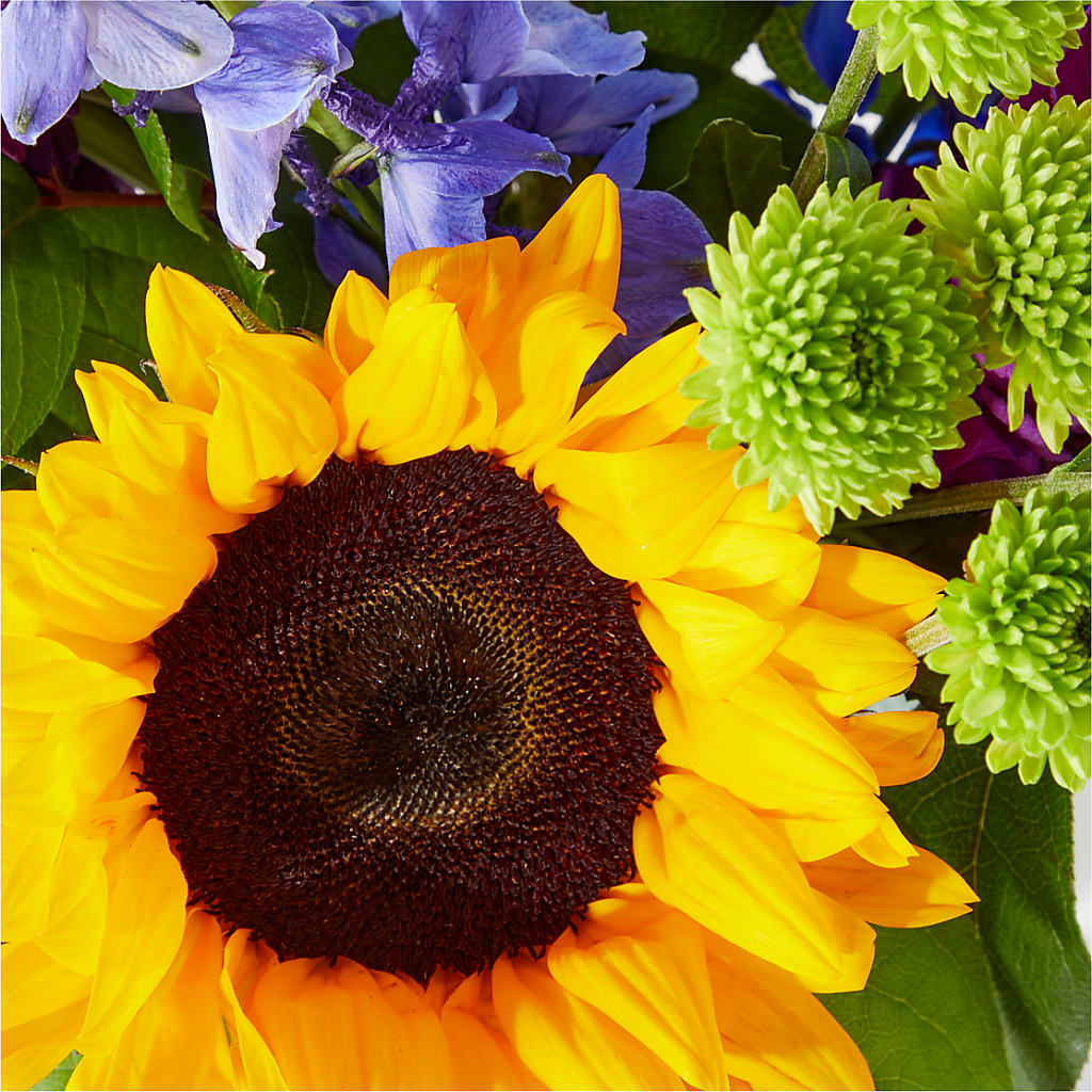 Catching Rays Bouquet – VICKIE'S FLOWERS, Cypress CA