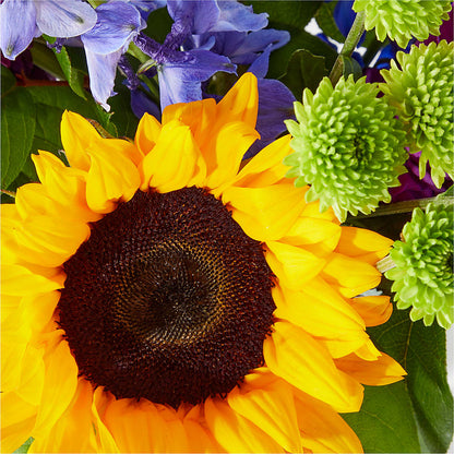 Catching Rays Bouquet – VICKIE'S FLOWERS, Cypress CA