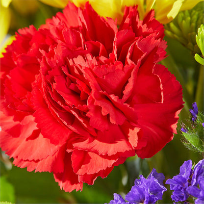 Brighter Days Bouquet – VICKIE'S FLOWERS, Cypress CA