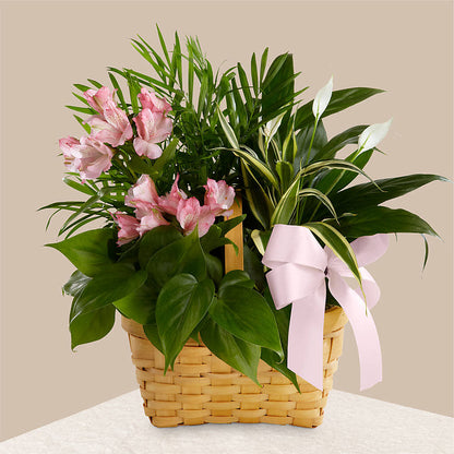Living Spirit Dishgarden – VICKIE'S FLOWERS, Cypress CA