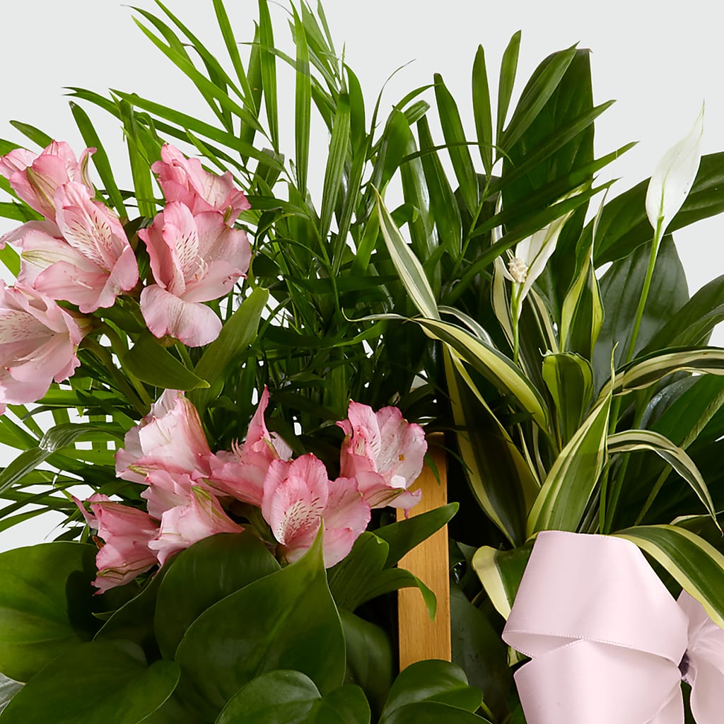 Living Spirit Dishgarden – VICKIE'S FLOWERS, Cypress CA