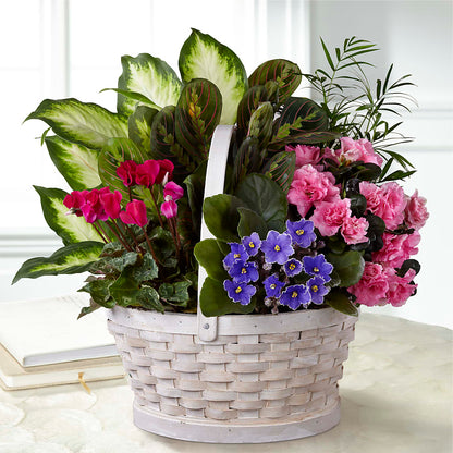 Peaceful Garden Planter – VICKIE'S FLOWERS, Cypress CA