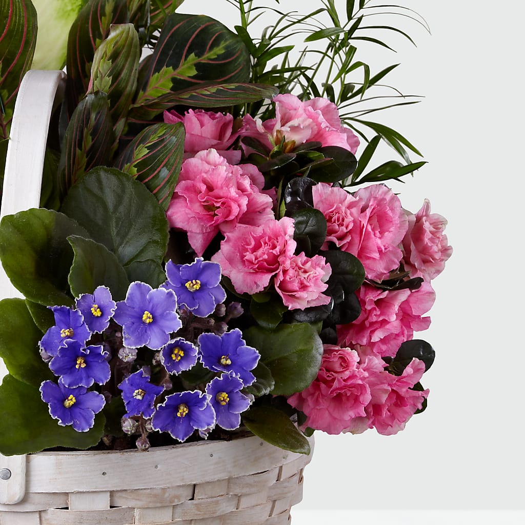 Peaceful Garden Planter – VICKIE'S FLOWERS, Cypress CA