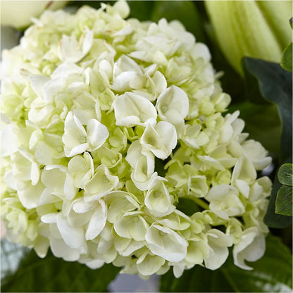 Classic Ivory – A Florist Original – VICKIE'S FLOWERS, Cypress CA