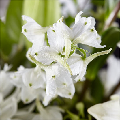 Classic Ivory – A Florist Original – VICKIE'S FLOWERS, Cypress CA