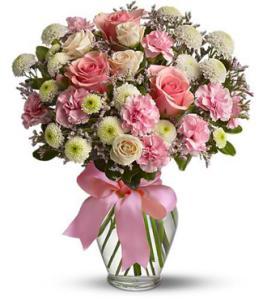 Cotton Candy – VICKIE'S FLOWERS, Cypress CA
