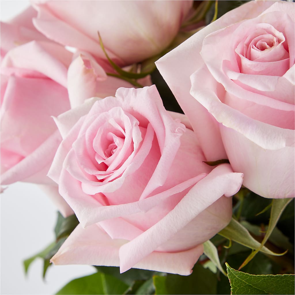 Picture Perfect Pink Rose Bouquet – VICKIE'S FLOWERS, Cypress CA