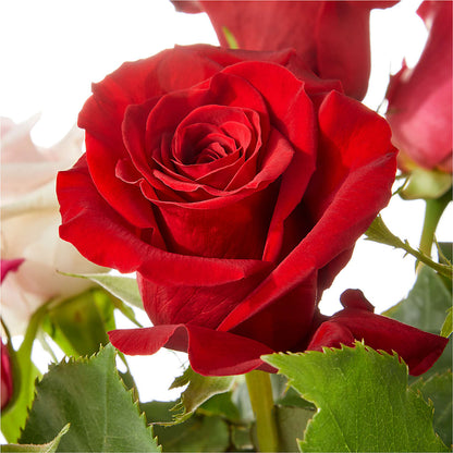 Love Notes Rose Bouquet – VICKIE'S FLOWERS, Cypress CA