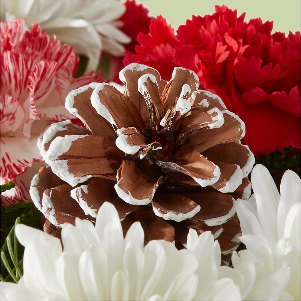 Candy Cane Lane Bouquet – VICKIE'S FLOWERS, Cypress CA