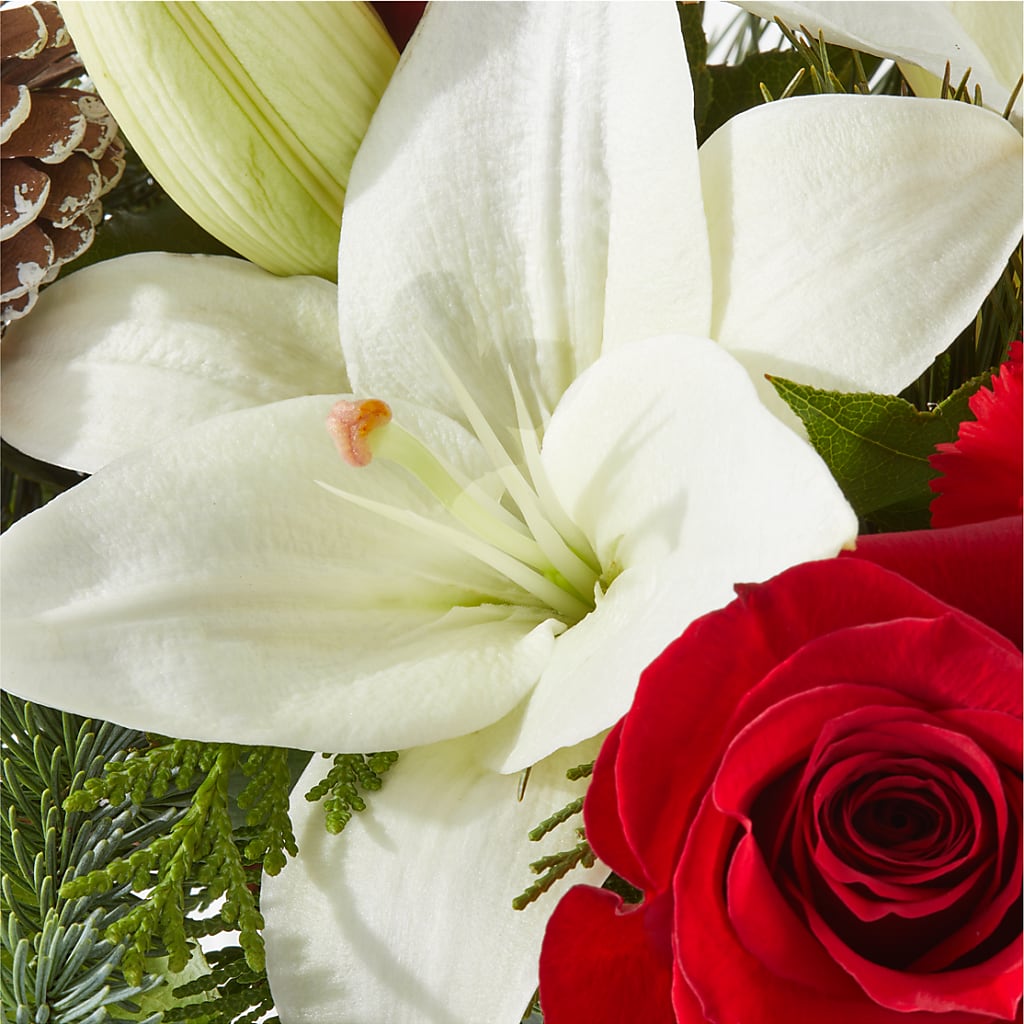 Oh So Jolly Bouquet – VICKIE'S FLOWERS, Cypress CA