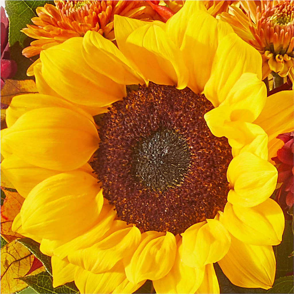Sunny Side Bouquet – VICKIE'S FLOWERS, Cypress CA