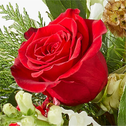 Deck the Halls Bouquet – VICKIE'S FLOWERS, Cypress CA