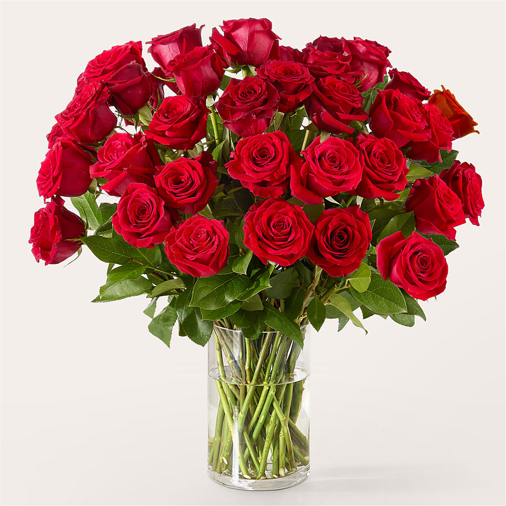 The One Red Rose Bouquet – VICKIE'S FLOWERS, Cypress CA