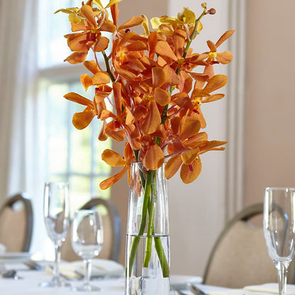 Orange Mokara Bud Vase – VICKIE'S FLOWERS, Cypress CA