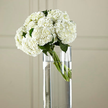 White Hydrangea Hand-Tied Bouquet – VICKIE'S FLOWERS, Cypress CA