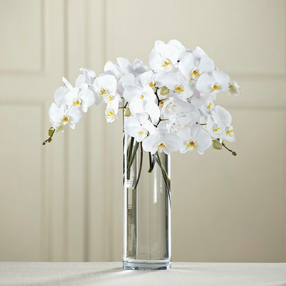 White Phalaenopsis Bouquet – VICKIE'S FLOWERS, Cypress CA